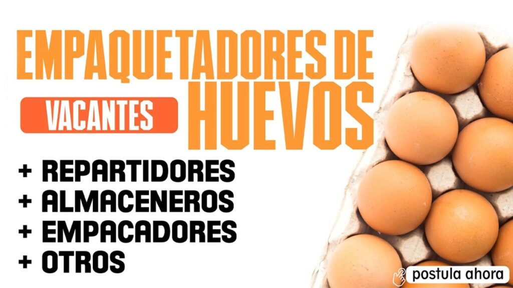 SE BUSCA EMPAQUETADOR DE HUEVOS